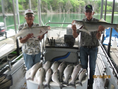 Nice Striped Bass